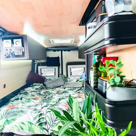 Camper Bronzita With Shower * סן איסידרו